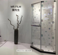 فيلم زجاجي ملون تصميم حديث ديكور ملون