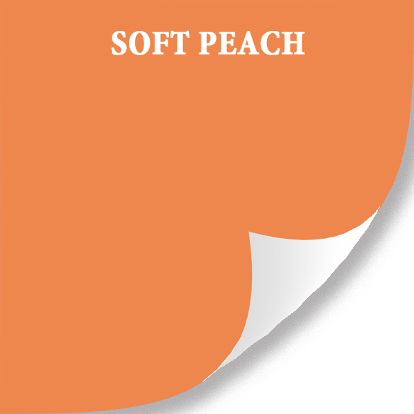 فيلم التغليف لمحترفي السيارات